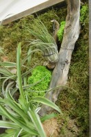 Зеленые картины - ПлантАрт - Интернет-магазин искусственных растений и кашпо, озеленение интерьеров