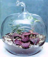 Мир за стеклом - Флорариумы - ПлантАрт - Интернет-магазин искусственных растений и кашпо, озеленение интерьеров
