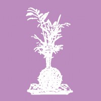 Кокедама  - ПлантАрт - Интернет-магазин искусственных растений и кашпо, озеленение интерьеров