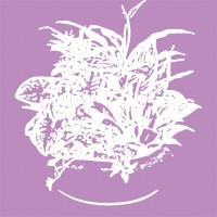 Интерьерные композиции из горшечных растений - ПлантАрт - Интернет-магазин искусственных растений и кашпо, озеленение интерьеров