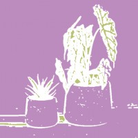 Посадка и пересадка горшечных растений - ПлантАрт - Интернет-магазин искусственных растений и кашпо, озеленение интерьеров