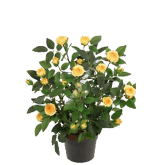 *Роза мини в горшке,микс, в-30 см - ПлантАрт - Интернет-магазин искусственных растений и кашпо, озеленение интерьеров