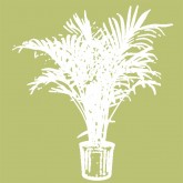 Пальмы - ПлантАрт - Интернет-магазин искусственных растений и кашпо, озеленение интерьеров