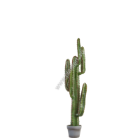 Кактус Цереус Мексиканский 11 439 руб., в-117, д-30 см - ПлантАрт - Интернет-магазин искусственных растений и кашпо, озеленение интерьеров