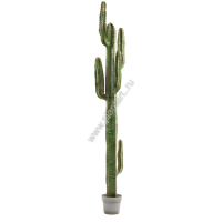 Кактус Цереус Мексиканский 21 927руб., в-200, д-30 см - ПлантАрт - Интернет-магазин искусственных растений и кашпо, озеленение интерьеров