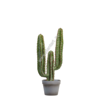 Кактус Цереус Мексиканский 6 074 руб., в-63 см, д-27 см - ПлантАрт - Интернет-магазин искусственных растений и кашпо, озеленение интерьеров