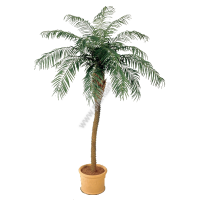 Финиковая пальма де Люкс от 35 742 руб., выс. 240, 270, 300 см - ПлантАрт - Интернет-магазин искусственных растений и кашпо, озеленение интерьеров