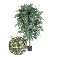 Фикус Фолиа от 21 026 руб.130, 165 см - ПлантАрт - Интернет-магазин искусственных растений и кашпо, озеленение интерьеров