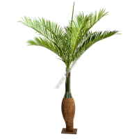 Бутылочная пальма Гигантская 112 973 руб., выс. 345 см - ПлантАрт - Интернет-магазин искусственных растений и кашпо, озеленение интерьеров