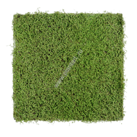 Мох рясковый св.зеленый квадрат, 100х100 см - ПлантАрт - Интернет-магазин искусственных растений и кашпо, озеленение интерьеров