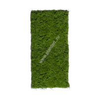 Мох Сфагнум М, 50х100 см - ПлантАрт - Интернет-магазин искусственных растений и кашпо, озеленение интерьеров