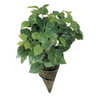 Филодендрон Тини куст, выс. 30 см - ПлантАрт - Интернет-магазин искусственных растений и кашпо, озеленение интерьеров
