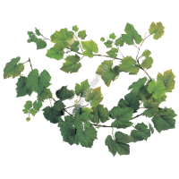 Виноградная ветвь-гирлянда натуральная 180 см - ПлантАрт - Интернет-магазин искусственных растений и кашпо, озеленение интерьеров