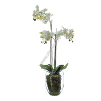 Орхидея Фаленопсис белая куст, 85 см, в стекл. вазе с мхом, корнями, землей - ПлантАрт - Интернет-магазин искусственных растений и кашпо, озеленение интерьеров