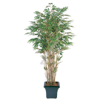 Бамбук натуральный от 15 828 руб.,150, 180, 210 см - ПлантАрт - Интернет-магазин искусственных растений и кашпо, озеленение интерьеров