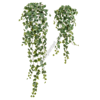 Английский плющ Олд Тэмпл серо-зеленый, в-90, 135 см - ПлантАрт - Интернет-магазин искусственных растений и кашпо, озеленение интерьеров