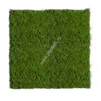 Мох Сфагнум, L большой,  100х100 см - ПлантАрт - Интернет-магазин искусственных растений и кашпо, озеленение интерьеров