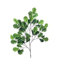 Ветка дуба зеленая с желудями, 65 см, 545 руб. - ПлантАрт - Интернет-магазин искусственных растений и кашпо, озеленение интерьеров