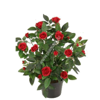 *Роза мини в горшке,микс, в-30 см - ПлантАрт - Интернет-магазин искусственных растений и кашпо, озеленение интерьеров
