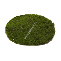 Мох Круглый большой д-30 см - ПлантАрт - Интернет-магазин искусственных растений и кашпо, озеленение интерьеров